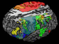Mapa cerebral.