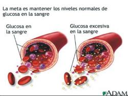 Niveles normales y excesivos de glucosa en la sangre