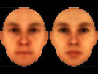 Los observadores clasificaron las imágenes pixeladas como masculinas o femeninas. Foto: Universidad Brown