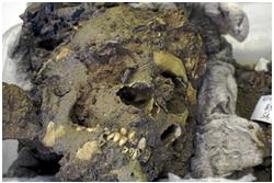 Restos de un neandertal del yacimiento murciano de la Cueva Negra