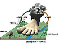 el concepto de huella ecológica ignora la importancia de la iniciativa humana para reducir el consumo de recursos multiplicando bienestar