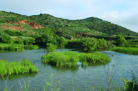 Los humedales tienen una capacidad natural de remover contaminantes, su conservaci�n o construcci�n son importantes