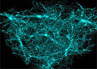 Halos de materia oscura en el universo simulados por computador