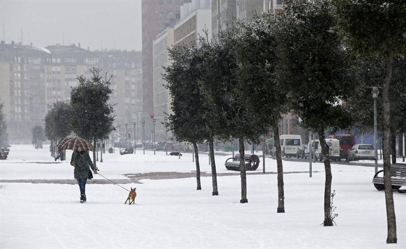 Una mujer saca a su perro durante la fuerte nevada caída en el barrio de Salburua de Vitoria. Foto: Adrián Ruiz de Hierro