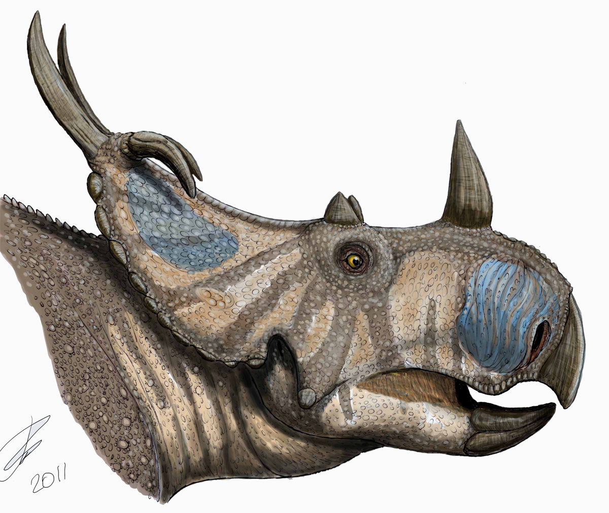 Spinops sternbergorum. Ilustraci�n: Dmitry Bogdanov