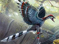 Reconstrucción de un Archaeopteryx. Ilustración: Todd Marshall
