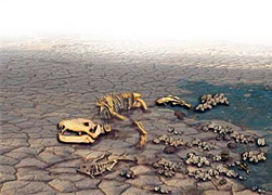 Extinción del pérmico-triásico