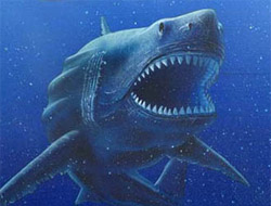 Posible apariencia de tiburón fósil hallado en la Antártida