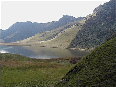 A mayor altura se ve la laguna de Huarmicocha rodeada de sus pantanos y albergando a garzas de altura, patos y otras aves que parecen usar los carrizales como albergue.
