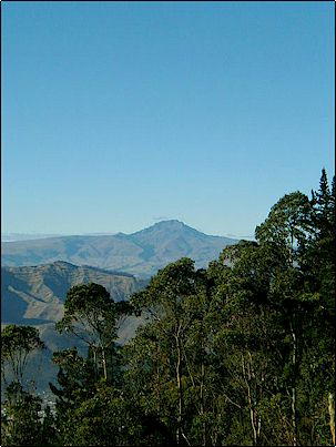 Fotograf�a del Sincholagua en verano, en el no ha quedado mas que una brizna de nieve. Admitamos que gran parte del actual calentamiento global se debe a la naturaleza, y evidencias que indican que antes de la �ltima glaciaci�n la sierra ecuatoriana gozaba de un clima tropical a juzgar por restos de bosques y sobre todo de nidos petrificados de escarabajos que solo viven en �reas muy calientes.

