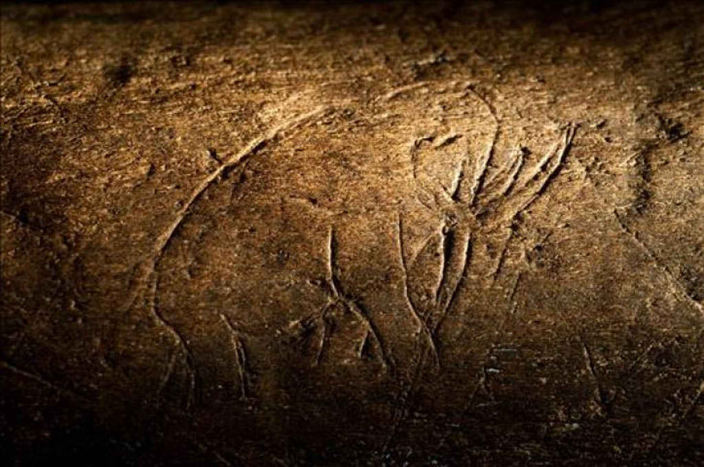 Mastodonte que fue realizado en un fragmento de hueso de mam�fero. Florida Museum