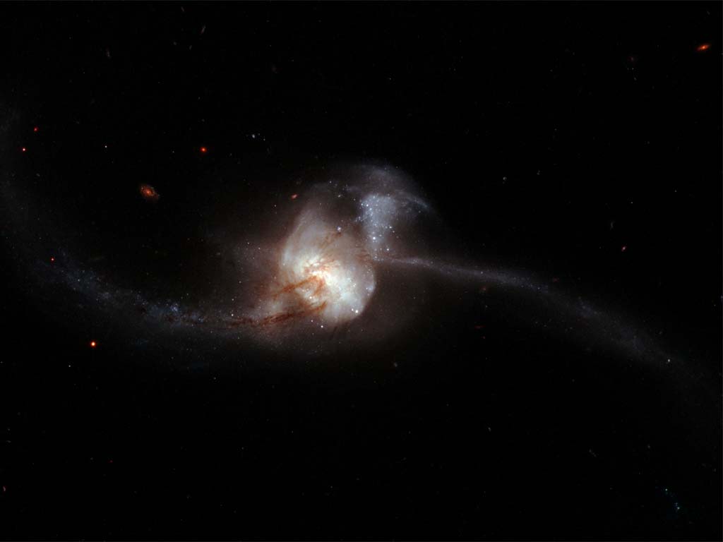 Galaxia NGC 26223 conocida también como Arp 243. Grandes cantidades de gas se desprenden de cada una de las galaxias implicadas y son arrastradas hacia el centro de la otra. Como resultado, ambas formaciones se funden en una nueva galaxia gigante.