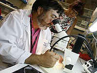 Salvador Mart�nez, del Instituto de Neurociencias. Foto: C. RODR�GUEZ
