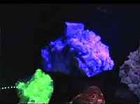 Minerales fluorescentes.