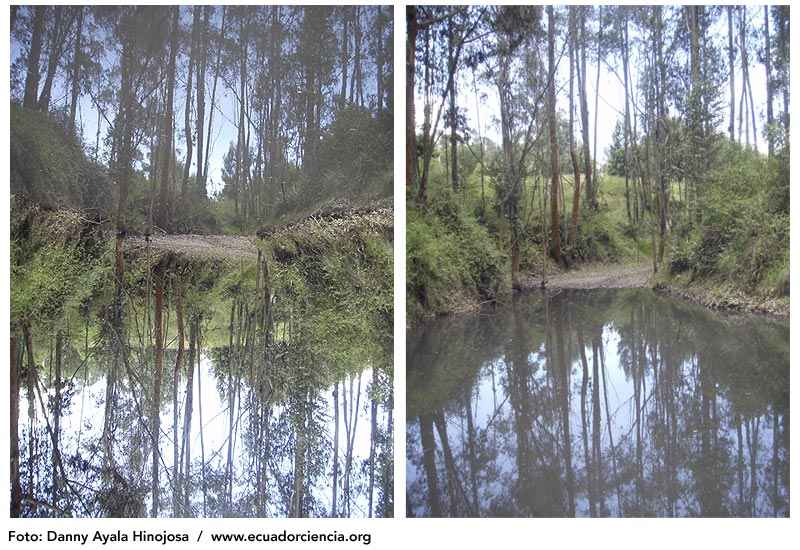 La imagen real es la versión de la derecha, lo que parece un camino en la imagen izquierda en realidad es el cauce seco del riachuelo que alimenta a la laguna.