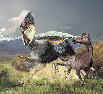 Un gigantesco Titanis walleri cazando un caballo del pleistoceno, las aves del terror ocuparon el nicho de los dinosaurios luego de su extinción.