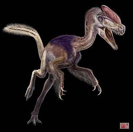 Antececesor del Tiranosaurio Rex, ten�a un largo de tres metros y una cresta sobre el cr�neo, aqu� es mostrado con plumas pues se cree que ya en el cret�cico algunos saurios empezaron a evolucionar en formas m�s cercanas a las aves actuales.