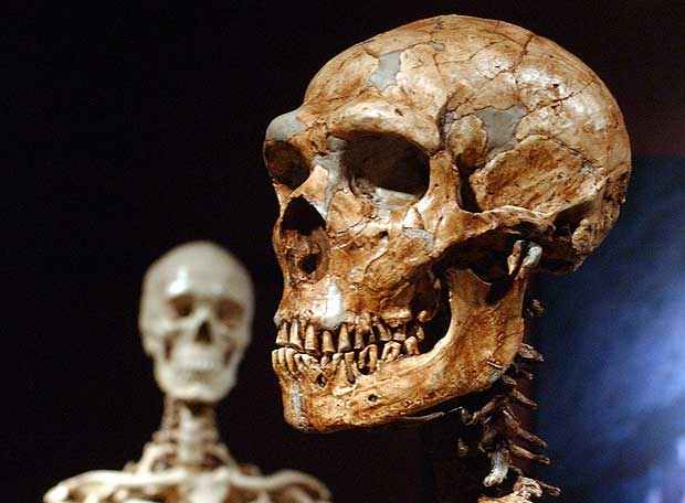 A pesar de compartir el 99,5% del genoma los posibles cruces entre neandertales y humanos modernos no fueron trascendentes en el desarrollo humano, si es que los hubo.