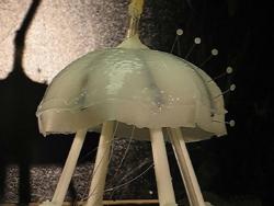 Robojelly, robot medusa