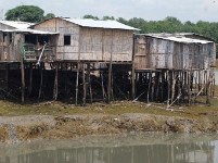 Casas de caña en un suburbio de Guayaquil